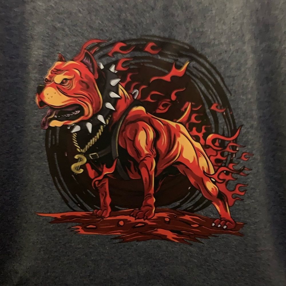 Everyone loves a tee shirt Flaming Pit bull